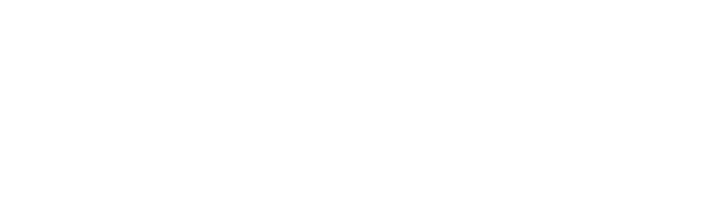 Six Sigma Synergy